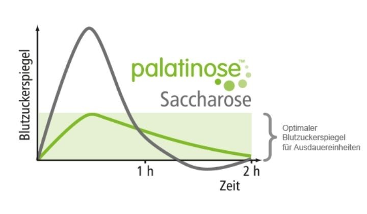 Palatinose™ und Blutzuckerspiegel im Zeitverlauf Palatinose™ und Blutzuckerspiegel im Zeitverlauf